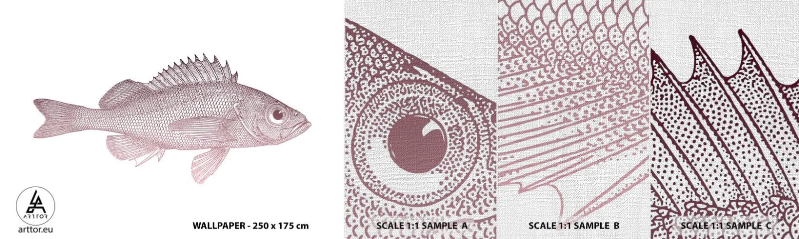 Vzor Fototapety Premium Canvas - Ryba s velkýma očima - Ryba, Pod vodou, Minimalistický - 100x30 cm