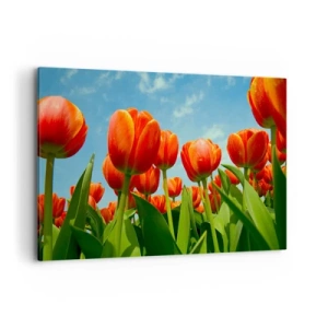 Obraz na plátně - Kromě blankytného nebe nic v životě nepotřebují - 120x80 cm