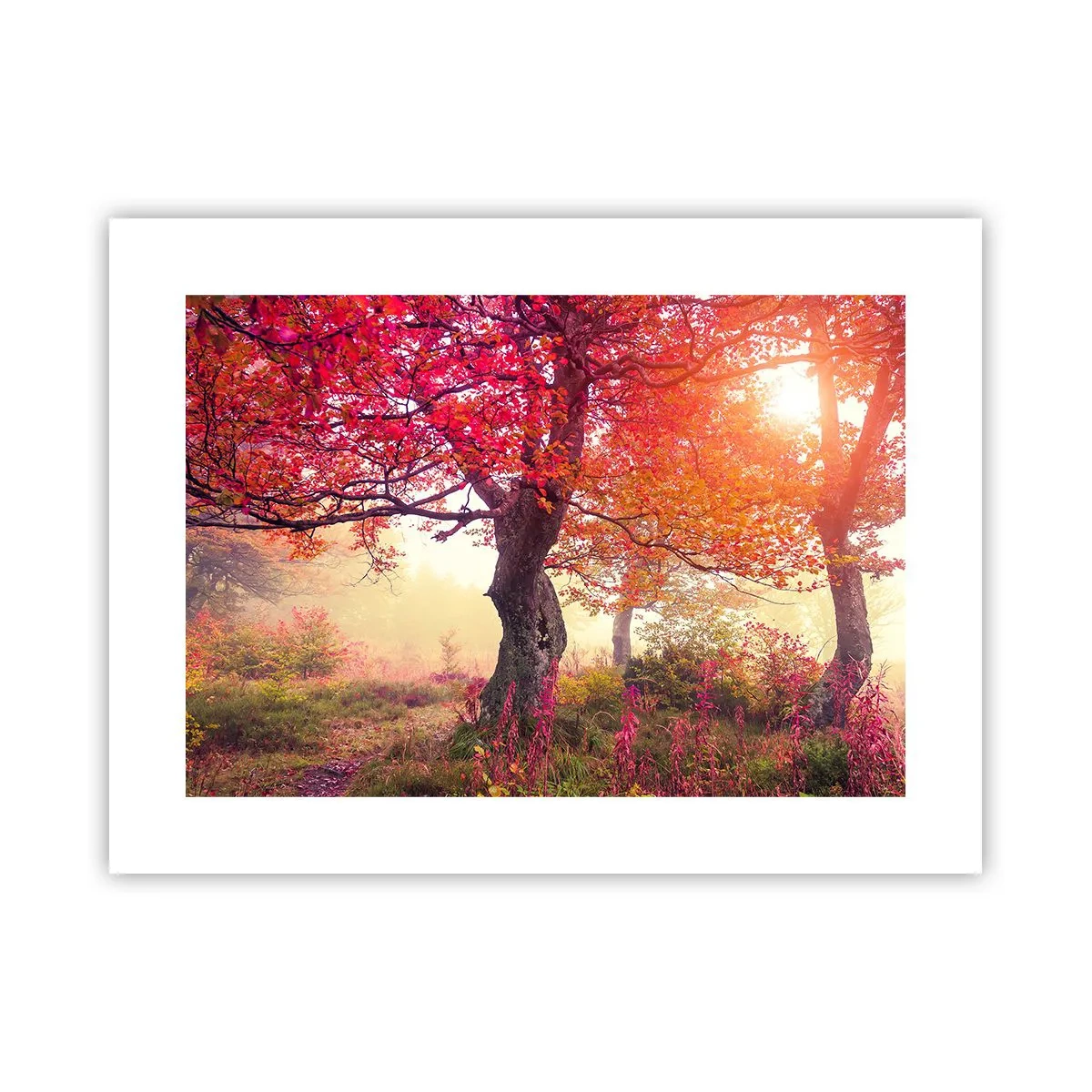 Plakát - Šílenství rozkvětu - 40x30 cm