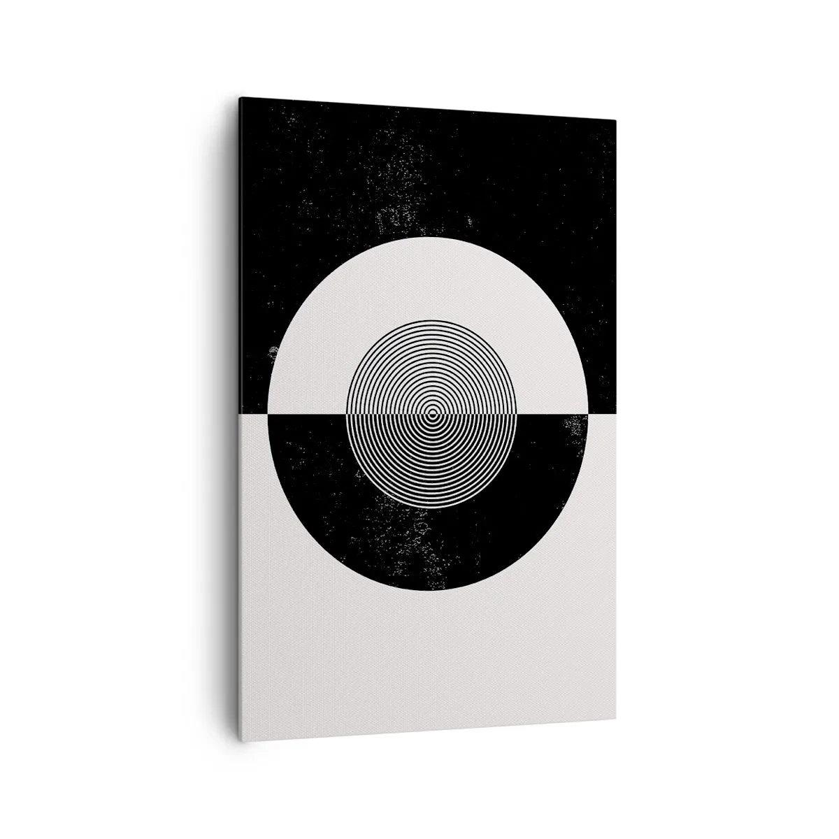 Obraz na plátně - Harmonie v černé a bílé - 80x120 cm
