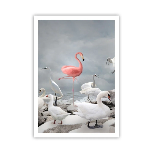 Plakát - Kde jsem se tu vzal? - 70x100 cm