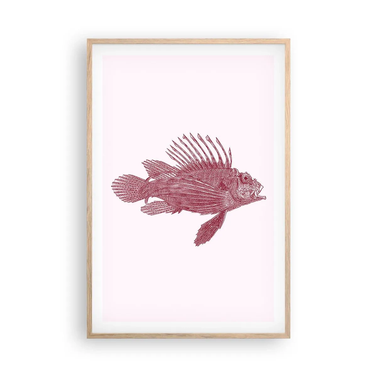 Plakát v rámu světlý dub - Obyvatelka exotických vod - 61x91 cm