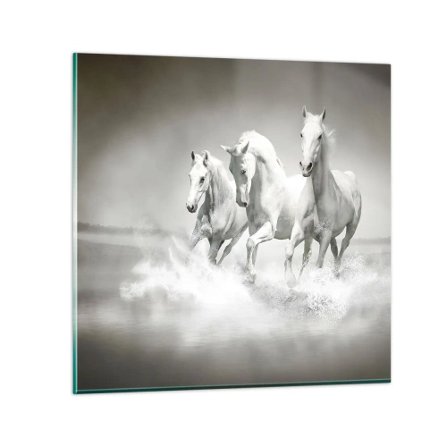 Obraz na skle - Bílé šílenství - 70x70 cm