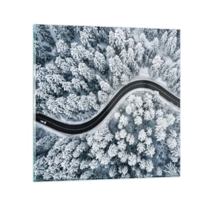 Obraz na skle - Zimním lesem - 30x30 cm