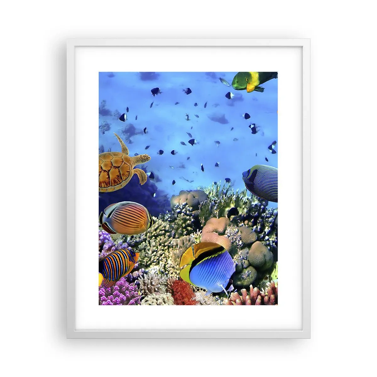 Plakát v bílém rámu - Co víme o životě… - 40x50 cm