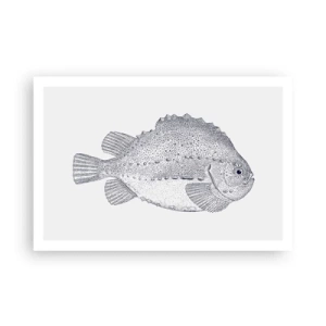 Plakát - Do alba přírodovědce - 91x61 cm