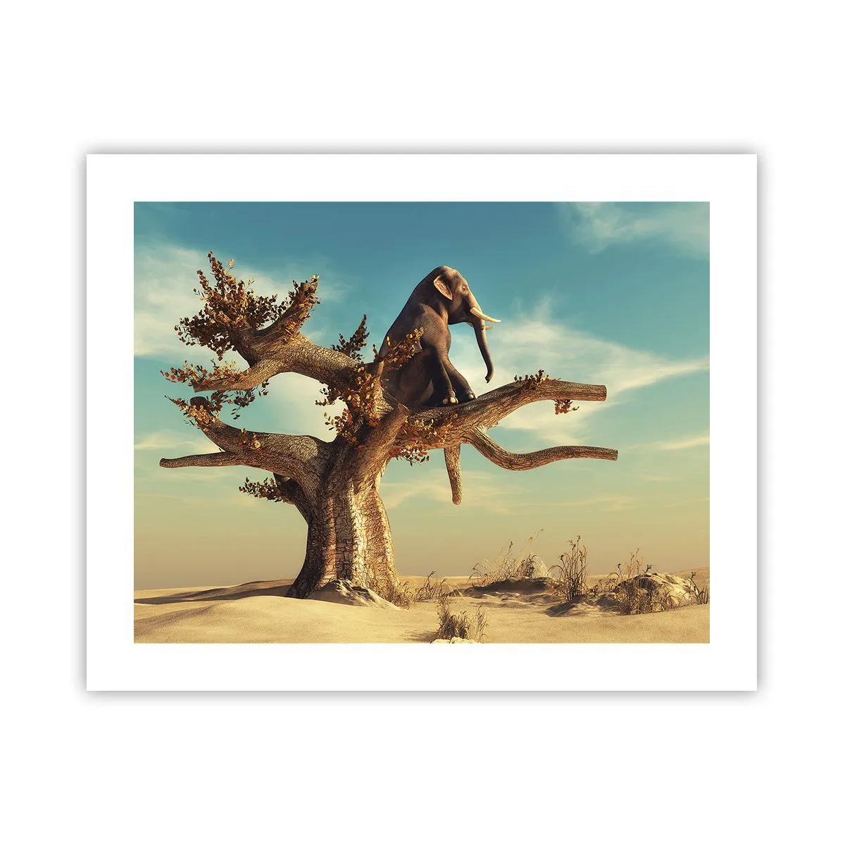 Plakát - Nový úhel pohledu - 50x40 cm