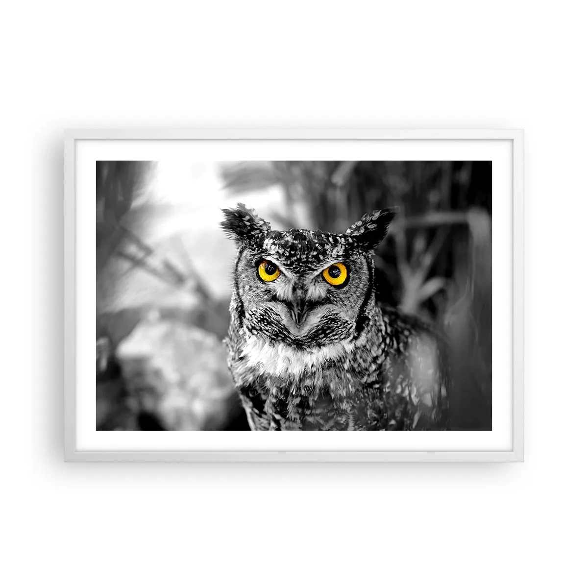 Plakát v bílém rámu - Nic se neschová - 70x50 cm