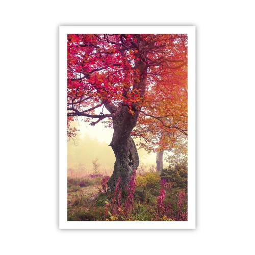 Plakát - Šílenství rozkvětu - 61x91 cm