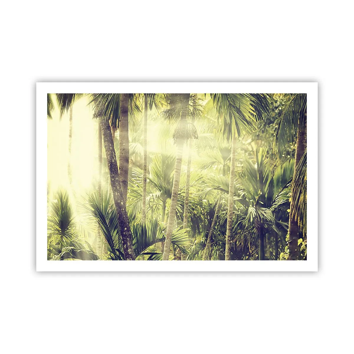 Plakát - V zeleném žáru - 91x61 cm