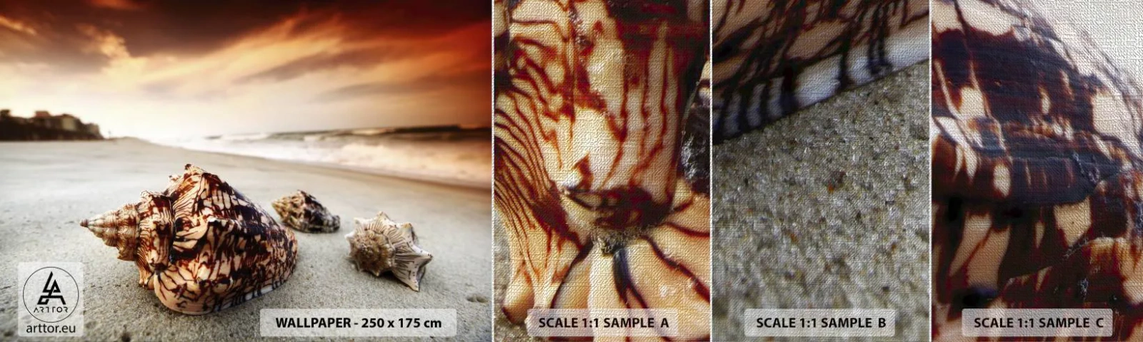 Vzor Fototapety Premium Canvas - Vyvrženci vln - Krajina, Moře, Mušle - 100x30 cm