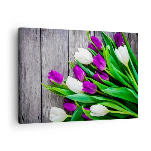 Obraz na plátně - Kytice fialových a bílých tulipánů na dřevěném pozadí - 70x50cm - V den jarního svátku - Moderní nástěnná dekorace do obývacího pokoje a ložnice ARTTOR