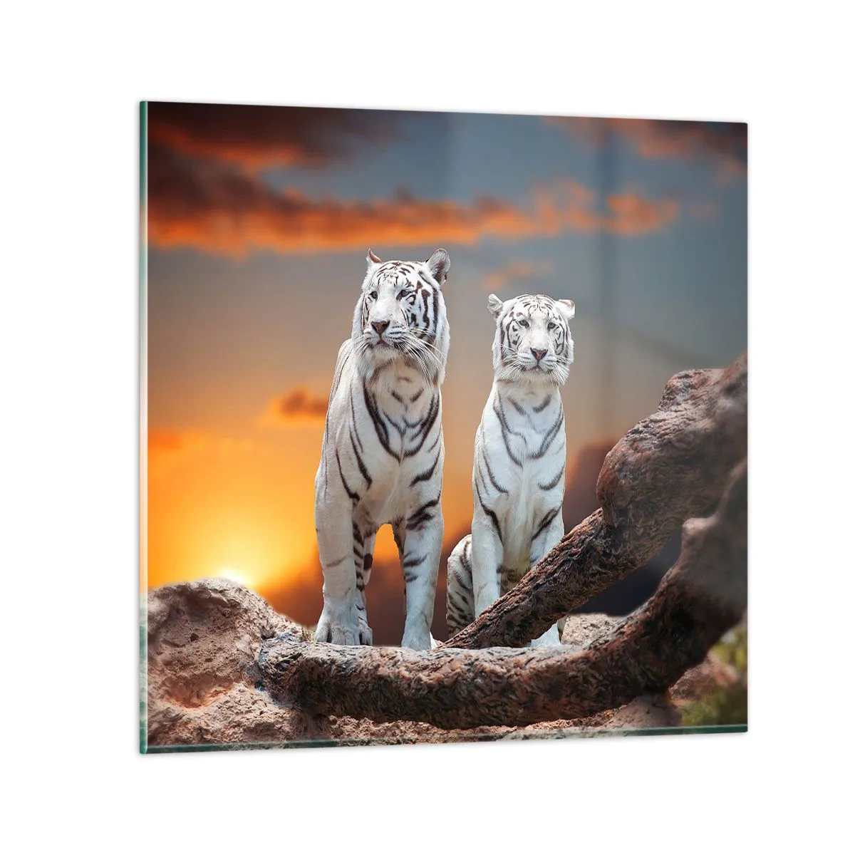 Obraz na skle - Úplně jako v Narnii - 30x30 cm