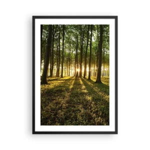 Plakát v černém rámu - Les ozářený paprsky zapadajícího slunce - 50x70cm - Fotografie všech jar - Moderní nástěnná dekorace do obývacího pokoje a ložnice ARTTOR