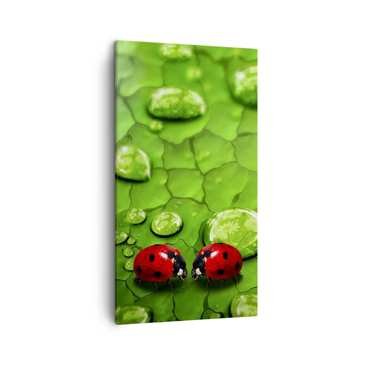 Obraz na plátně - Setkání v zeleni - 45x80 cm