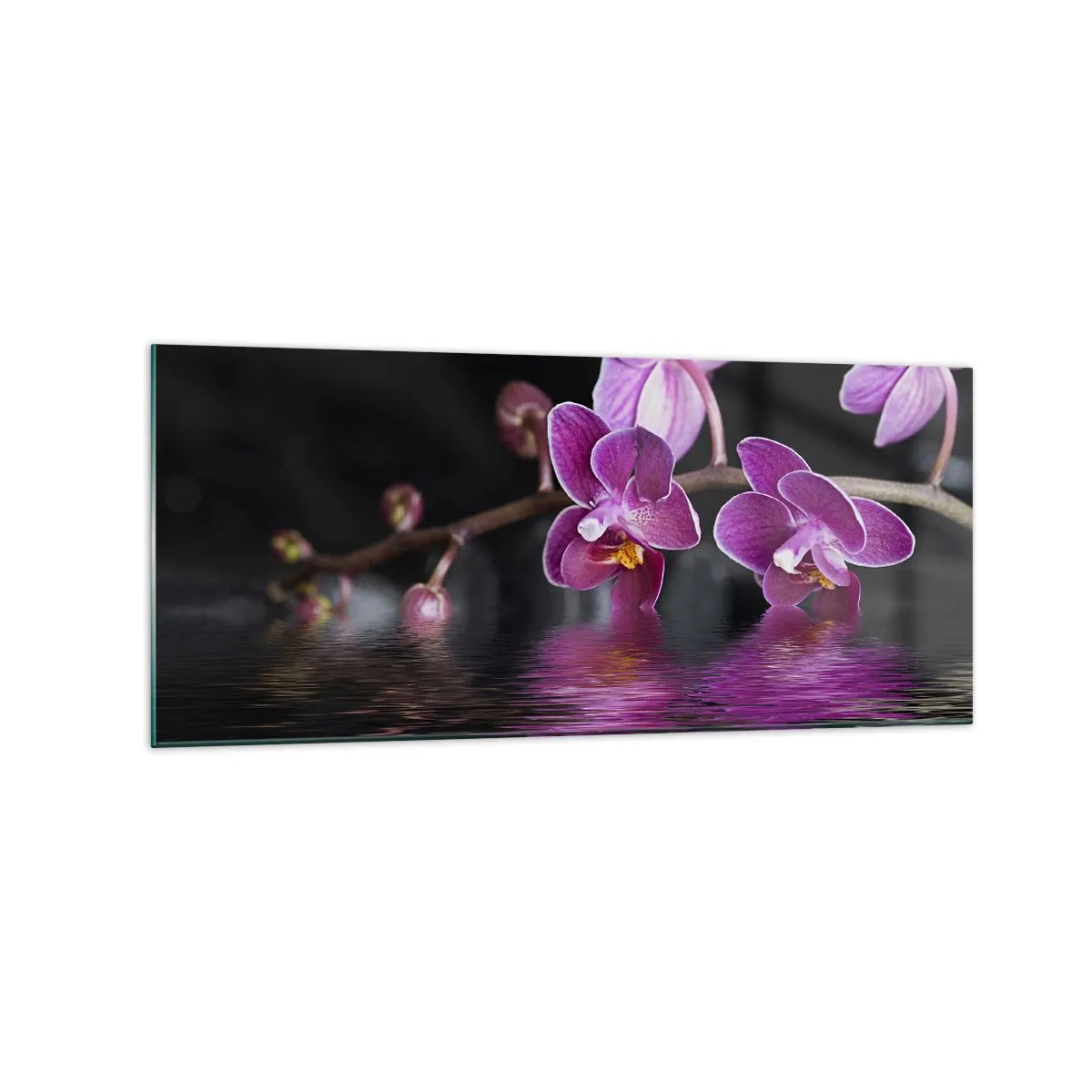 Obraz na skle - Liliový odraz krásy - 120x50 cm