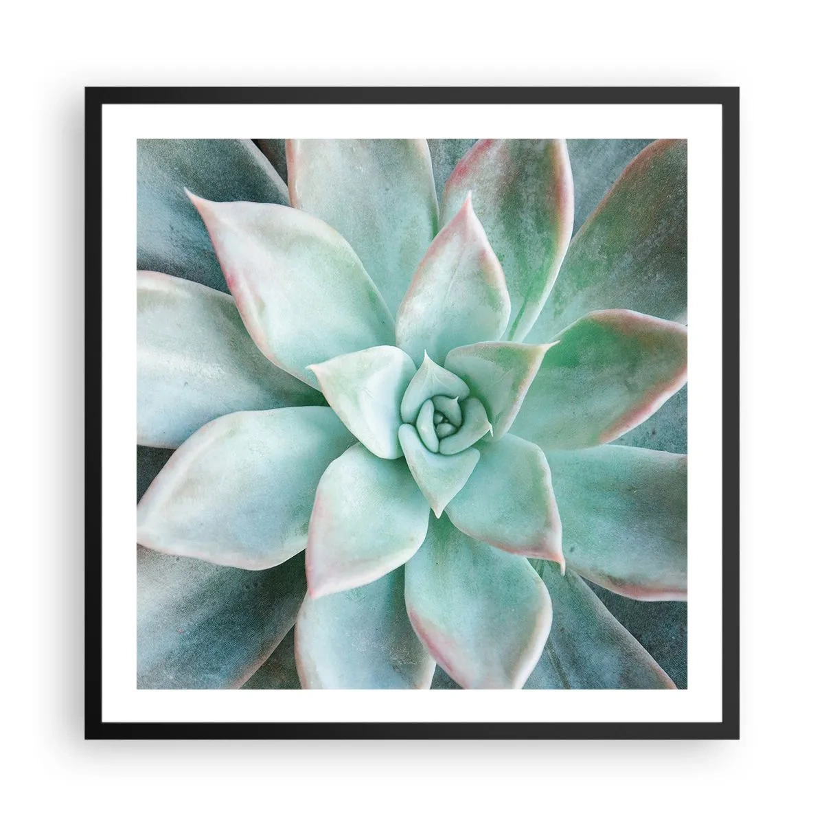 Plakát v černém rámu - Srdce pouště - 60x60 cm