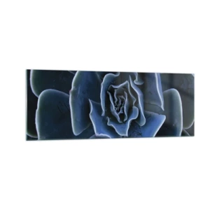 Obraz na skle - Pouštní květ - 140x50 cm