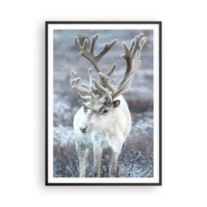 Plakát v černém rámu - Sluneční portrét - 70x100 cm