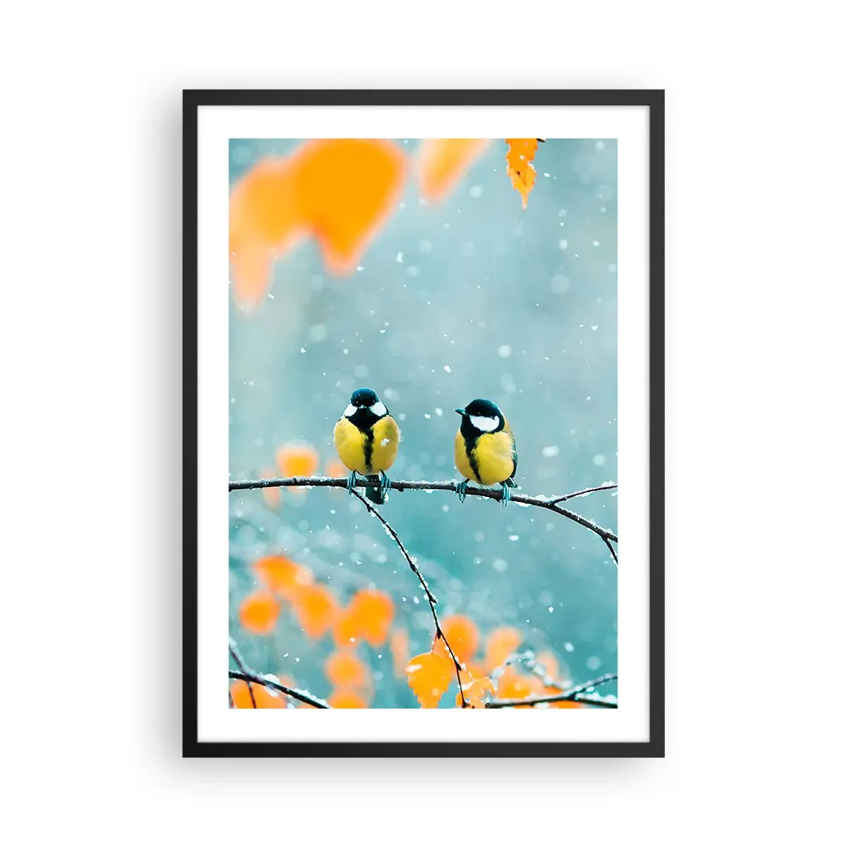 Plakát v černém rámu - Dvě sýkory sedící na větvi v zimní krajině - 50x70cm - Ptačí drby - Moderní nástěnná dekorace do obývacího pokoje a ložnice ARTTOR