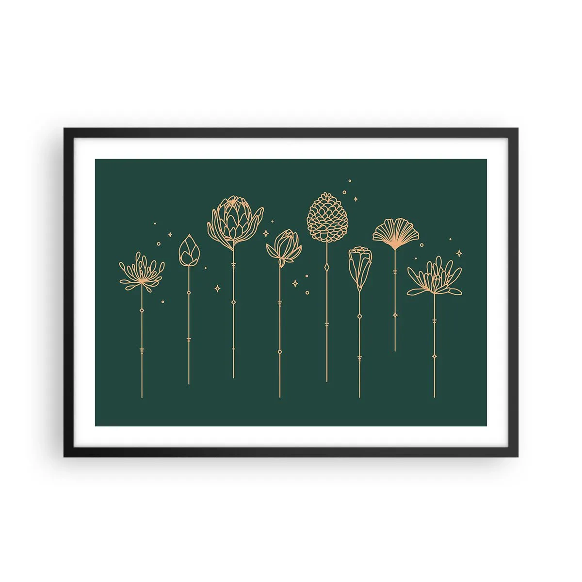 Plakát v černém rámu - Bylinky - 70x50 cm
