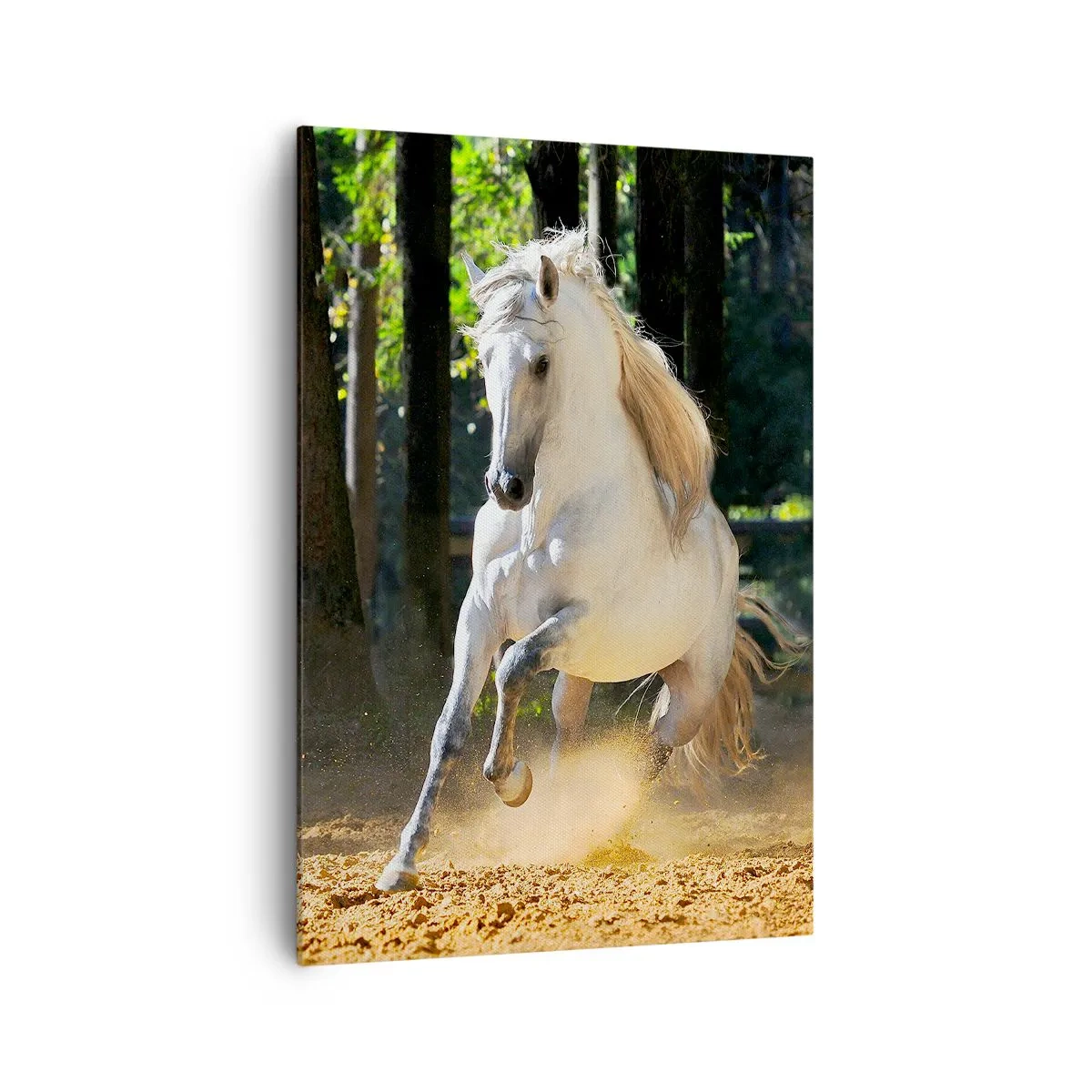 Obraz na plátně - Jako z fantasy románu - 70x100 cm