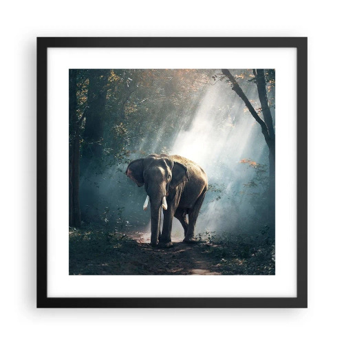 Plakát v černém rámu - Klidná procházka - 40x40 cm