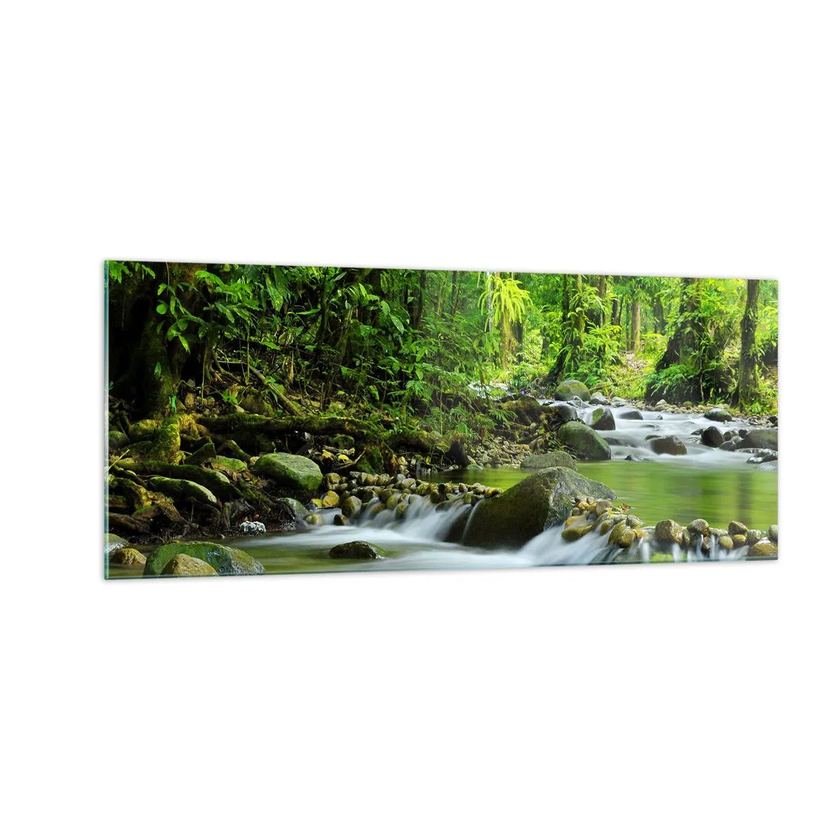 Obraz na skle - Plout mořem zeleně - 100x40 cm
