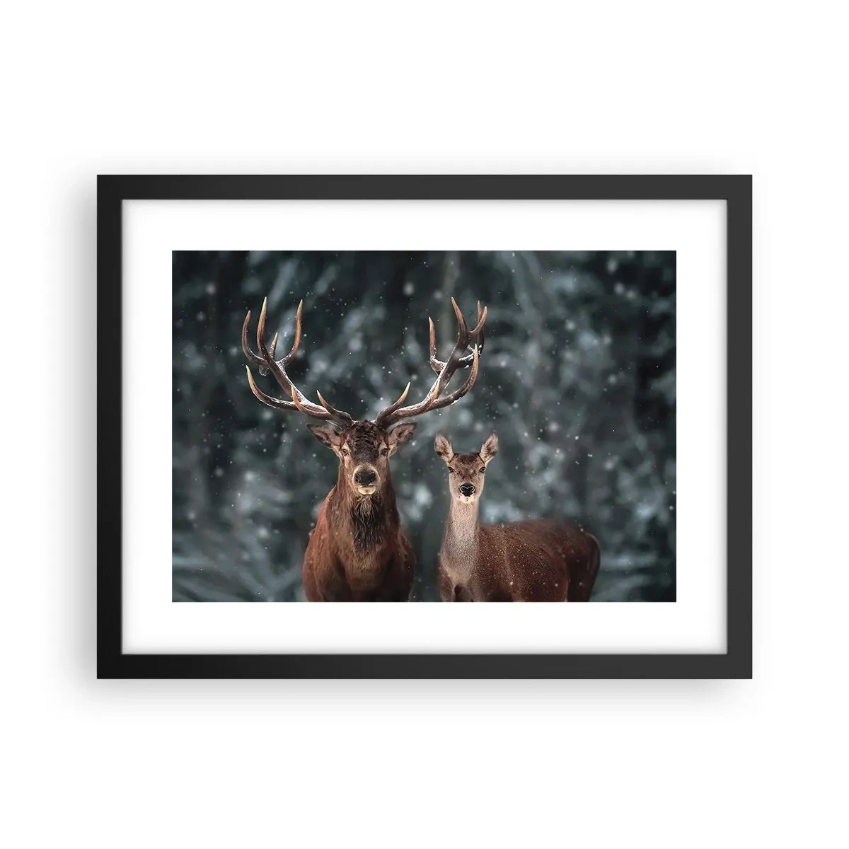 Plakát v černém rámu - Pán lesa se svou ženou - 40x30 cm