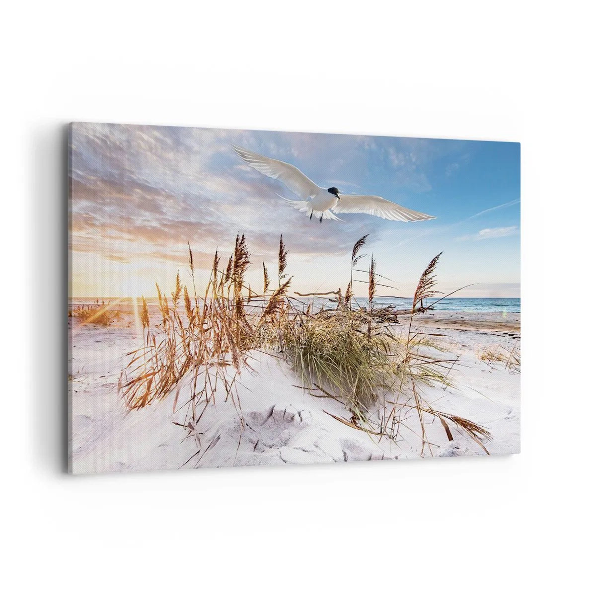 Obraz na plátně - Vítr od moře - 100x70 cm