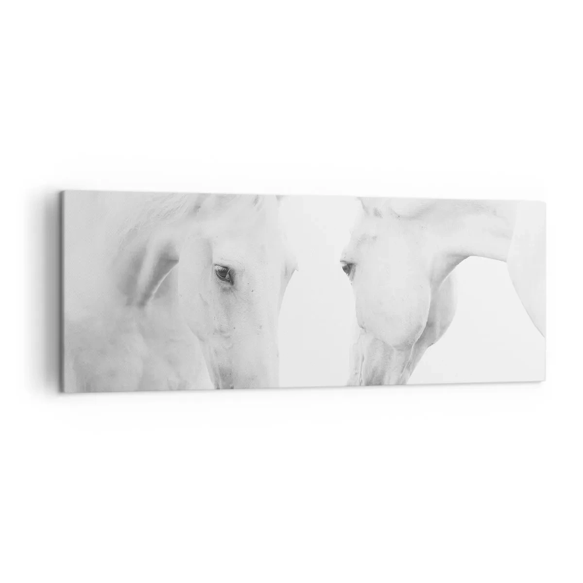 Obraz na plátně - Je to přátelství…? - 140x50 cm