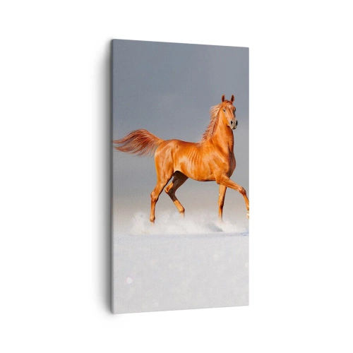 Obraz na plátně - Tančící elegance - 45x80 cm