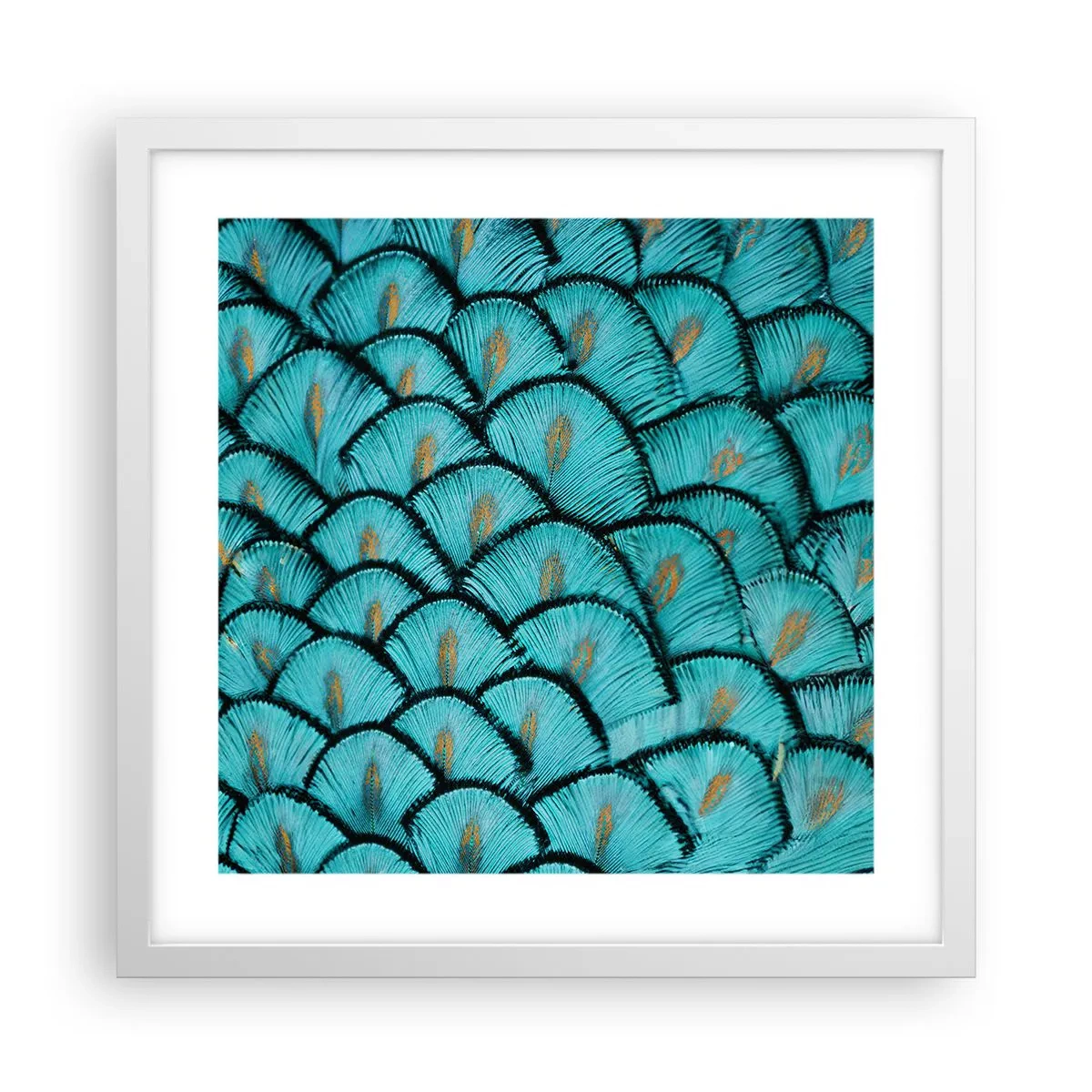 Plakát v bílém rámu - Velká slavnost peří - 40x40 cm