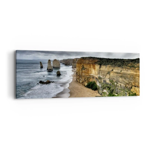 Obraz na plátně - Drsná krása - 90x30 cm