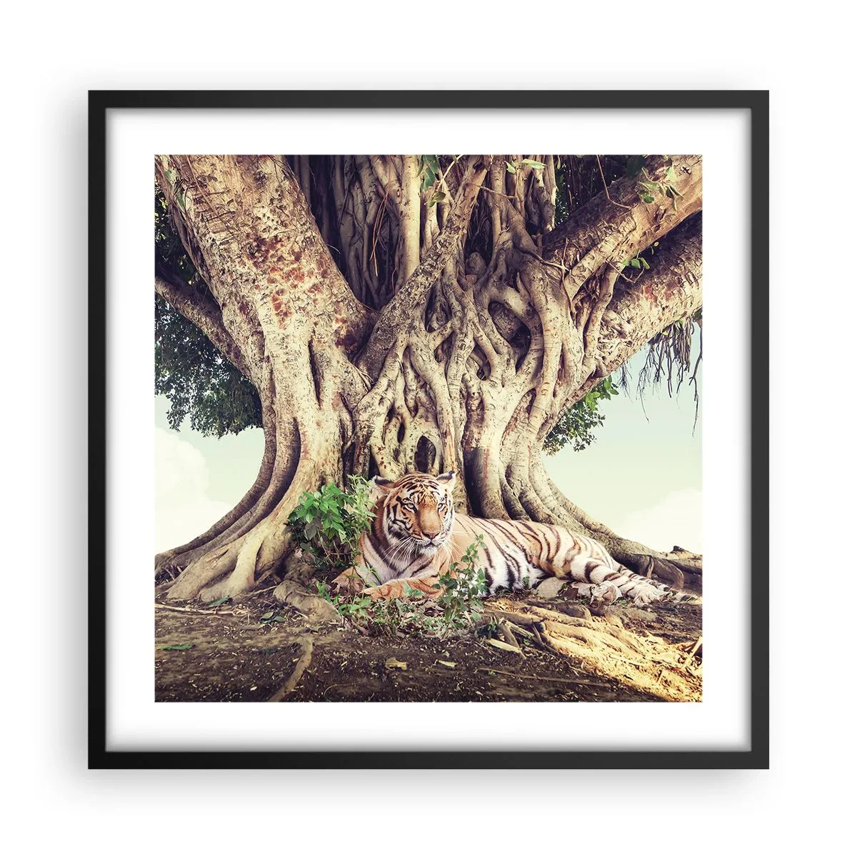 Plakát v černém rámu - Pohled z knihy Mojžíšovy - 50x50 cm