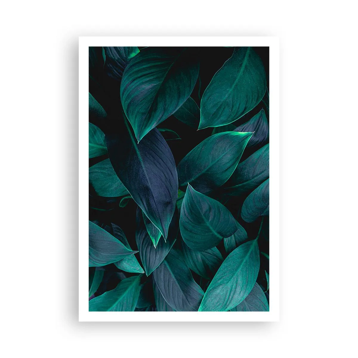 Plakát - Zeleň sama o sobě - 70x100 cm