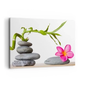 Obraz na plátně - Barvy života a trvání - 120x80 cm