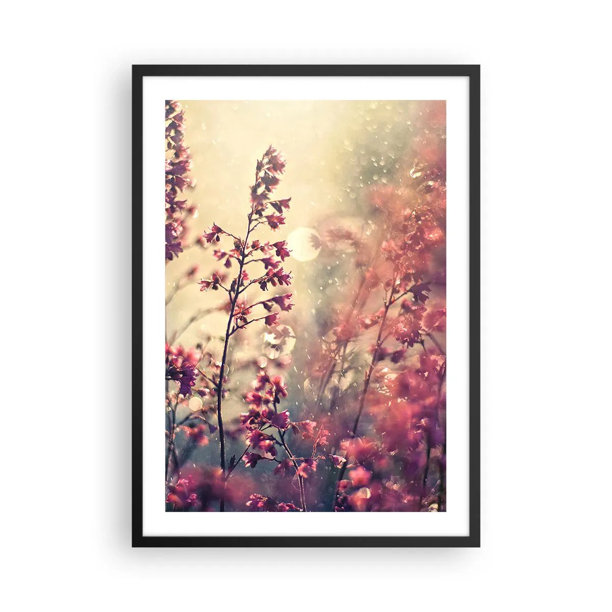 Plakát v černém rámu - Květiny ve světle zapadajícího slunce - 50x70cm - Tajná zahrada - Moderní nástěnná dekorace do obývacího pokoje a ložnice ARTTOR