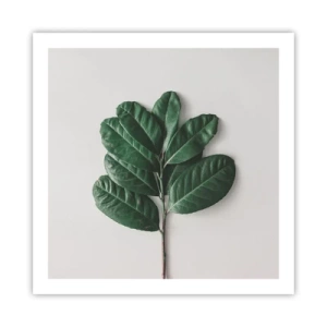 Plakát - Kresba samotné přírody - 60x60 cm