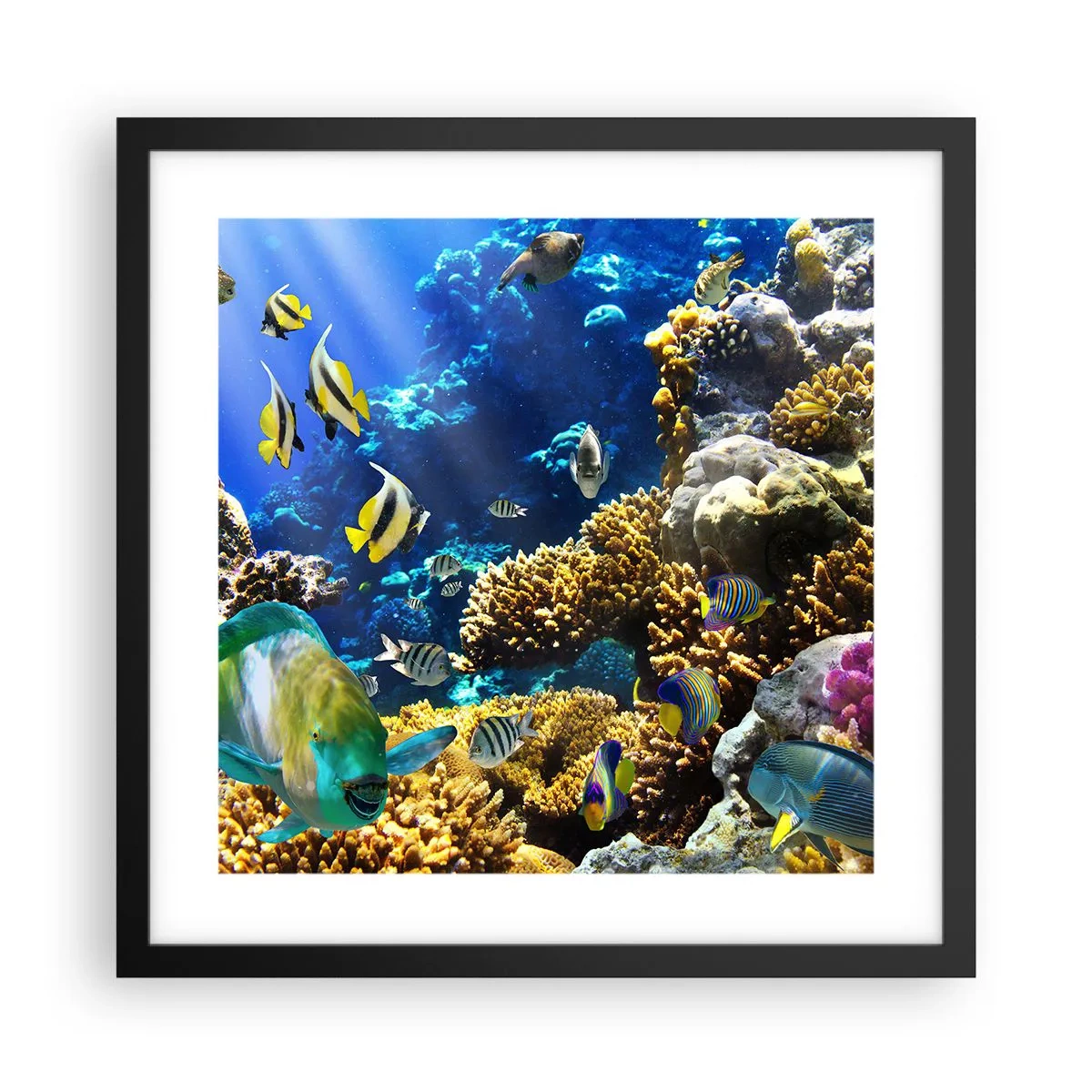 Plakát v černém rámu - Velký provoz na prázdninové stezce - 40x40 cm