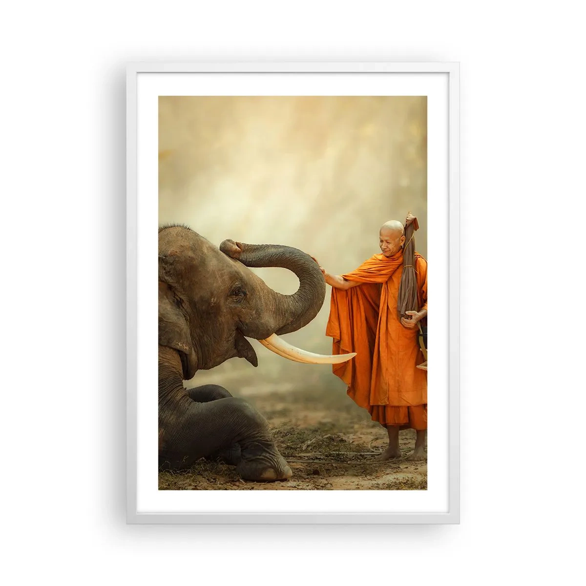 Plakát v bílém rámu - Setkání na cestách - 50x70 cm