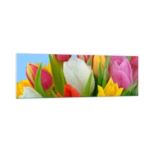 Obraz na skle - Květinová duha v kapkách rosy - 160x50 cm