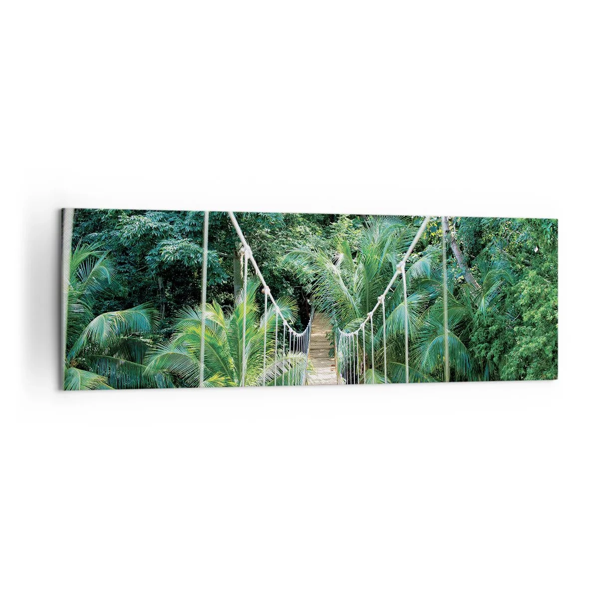 Obraz na plátně - Welcome to the jungle! - 160x50 cm
