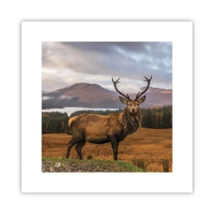 Plakát - Majestát přírody - 30x30 cm