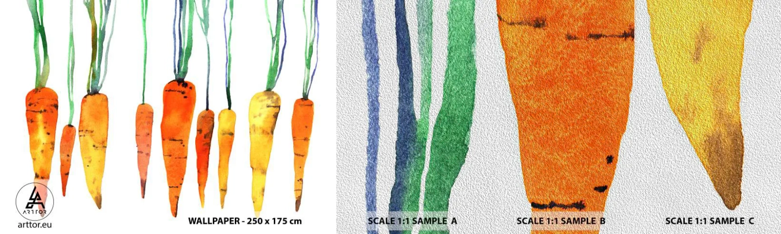 Vzor Fototapety Premium Sand - Krása obyčejnosti - Gastronomie, Mrkev, Grafika - 100x30 cm