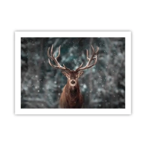 Plakát - Skutečný král lesa - 70x50 cm