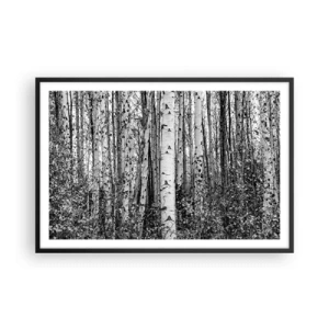 Plakát v černém rámu - Březová kolonáda - 91x61 cm