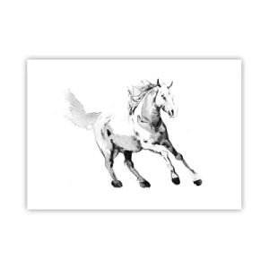 Plakát - Nezkrocená duše - 100x70 cm