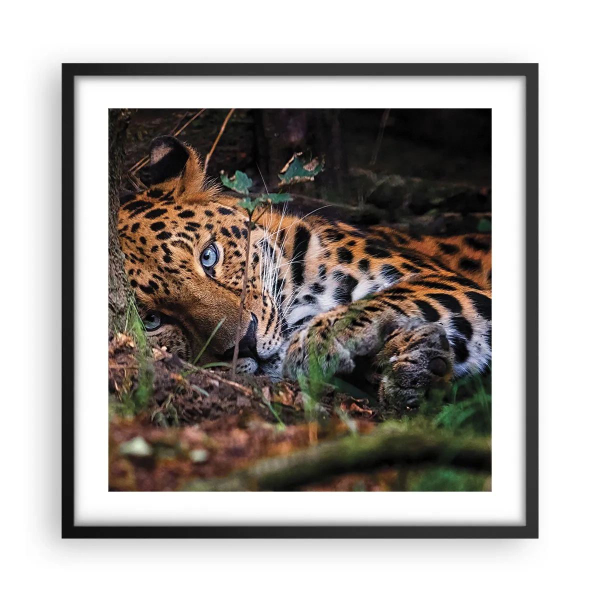 Plakát v černém rámu - Věř mi - 50x50 cm