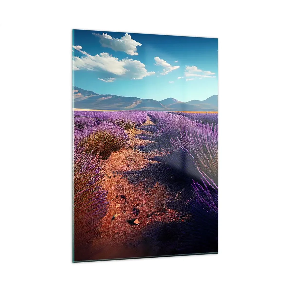 Obraz na skle - Voňavá pole - 50x70 cm